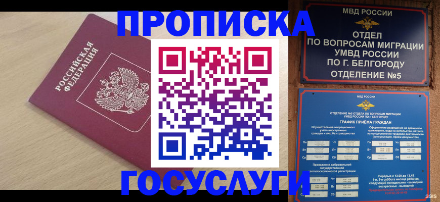 прописка законно в Ржеве